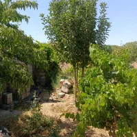 باغ زراعی قیمت مناسب|فروش دفتر صنعتی، کشاورزی، تجاری|سامان, |دیوار