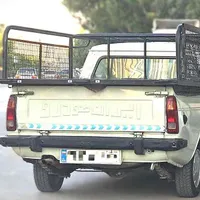 راننده نیسان ، وانت ، سواری