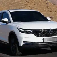 دیگنیتی پرایم صفر خشک(نقد و اقساط)