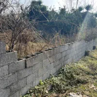 275-مترزمین-مسکونی-تک-برگ-سند