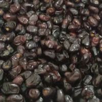 خرما مضافتی و خاصویی درجه تازه|خوردنی و آشامیدنی|تهران, طیب|دیوار