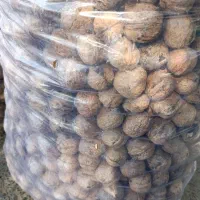 گردو محلی درجه یک|خوردنی و آشامیدنی|چرام, |دیوار