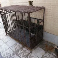 قفس|لوازم جانبی حیوانات|حمیدیا, |دیوار