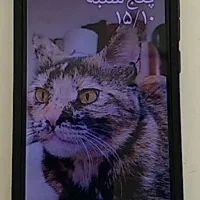 گوشی شیامی ردمی10c