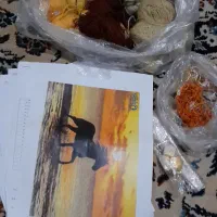 نخ ونقشه همراه با دار چله کشی شده وابزار|صنایع دستی و سایر لوازم تزئینی|تهران, آهنگ|دیوار