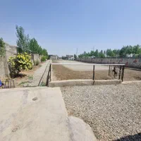 اسب ،باشگاه سوارکاری نعل،|اسب و تجهیزات اسب‌سواری|کرج, کمال‌شهر|دیوار
