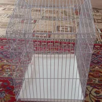 قفس پرنده