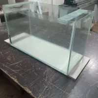 آکواریوم|ماهی|رشت, شهرک آیت الله منتظری|دیوار