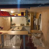 تیم بازی مافیا و طبیعت گردی الماس