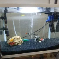 فروش آکواریوم با تمام تجهیزات