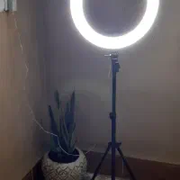 رینگ لایت