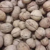 گردوی پوست کاغذی درجه یک