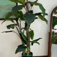 درختچه مصنوعی