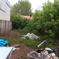 استاد معین بعد از پل