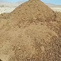 کود گوسفندی (پشکل)