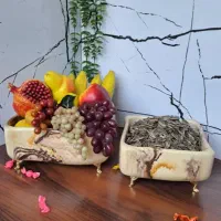میوه خوری و آجیل خوری