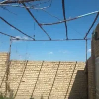 لوله داربست