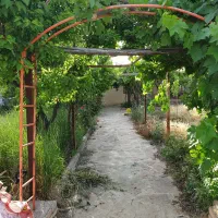 باغ-ویلایی