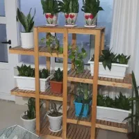 استند گل