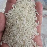 برنج