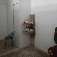 گربه|گربه|همدان, |دیوار