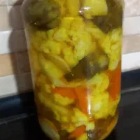 انواع ترشی|خوردنی و آشامیدنی|فیروزآباد (فارس), |دیوار