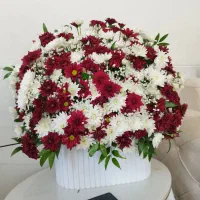 باکس گل طبیعی|گل و گیاه طبیعی|شیراز, شهرک سعدی|دیوار