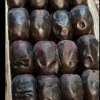 ۵۰۰ کارتن خرما مضافتی