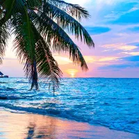 تور کیش / تورکیش / کارگزار مستقیم تور کیش در شیراز|تور و چارتر|شیراز, ریشمک|دیوار