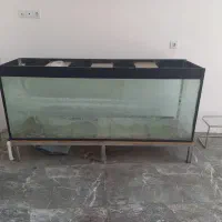 اکواریوم بزرگ