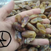 عمده فروشی انواع خرما و رطب|خوردنی و آشامیدنی|شهرکرد, |دیوار