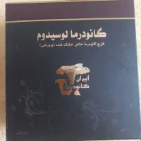 قارچ گانودرما لوسیدوم