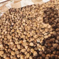 گردوی درجه یک کیلویی 628 گردوی با پوست کیلوی 218