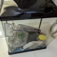 آکواریوم