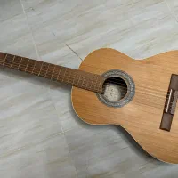 گیتار پارسی m5