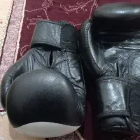 دستکش گرین هیل تایگر اصل|تجهیزات ورزشی|شوشتر, |دیوار
