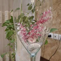 تنگ ماهی از شیشه بسیار مرغوب وشفاف