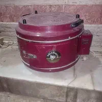 گل‌فر برقی اصلی
