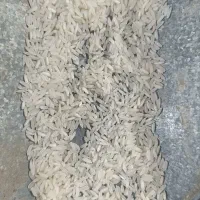 پخش عمده برنج پاکستانی خوشپخت