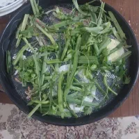 انواع سبزیجات آماده برای همه