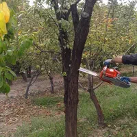 باغبانی و فضای سبز بومهن رودهن پردیس|خدمات باغبانی و درختکاری|رودهن, |دیوار