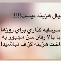 حلزون طبی آلبینو و تخم حلزون|خزنده|مشهد, هنرستان|دیوار