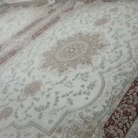 فرش ۱۲ متری ۲وعدد