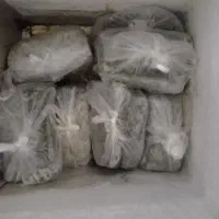 سبزی خورشتی-ماهی-شوید