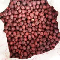 خرما بدون هسته|حراج|شاهین‌شهر, حاجی آباد|دیوار