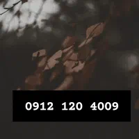 فروش سیمکارت ۹۱۲ کد۱