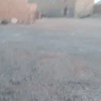 اجاره قعله جاده ساوه روبروی پارکینگ|اجارهٔ دفتر صنعتی، کشاورزی، تجاری|سلفچگان, |دیوار