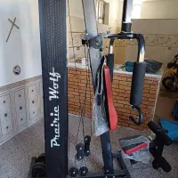 دستگاه بدنسازی|تجهیزات ورزشی|فیروزآباد (فارس), |دیوار