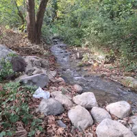 زمین فروشی الموت مختص پرورش ماهی