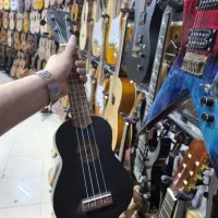 گیتار یوکللی(سنتور هنگدرام ویولن ضرب تمپو جیمبی)